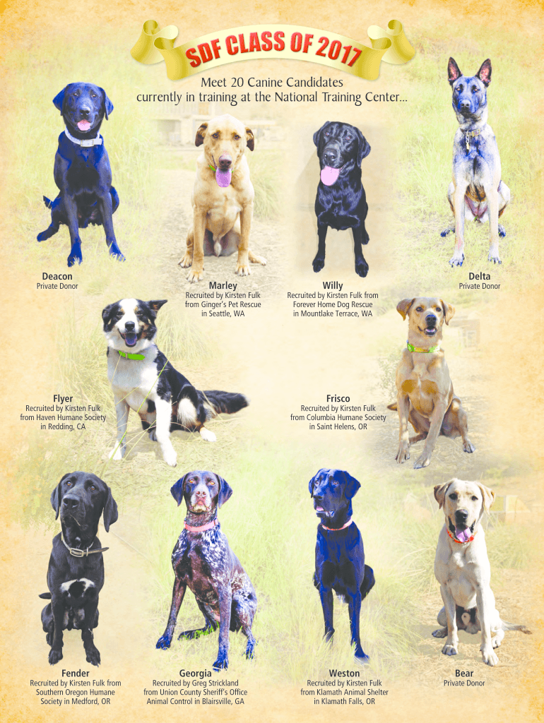 Fillable Online Ginger's Pet Rescue in Seattle TimesSaving Death Row