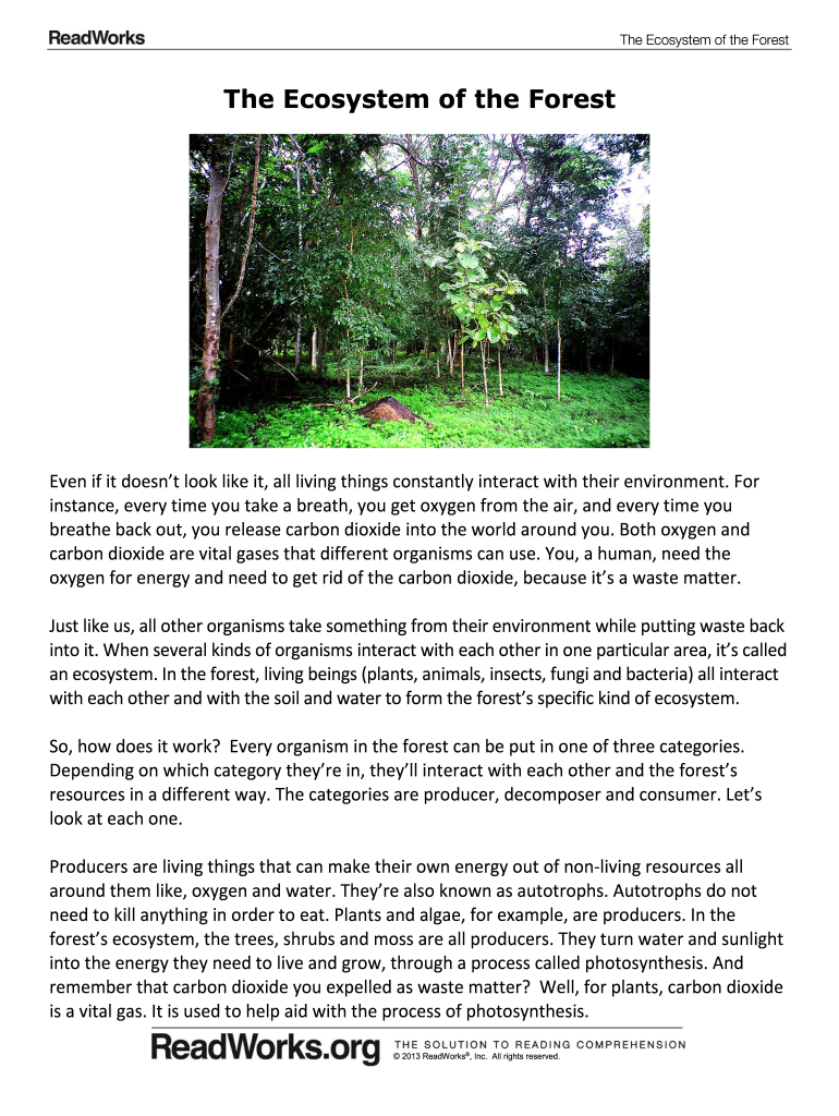 The ecosystem of the forest readworks answer key Fill out & sign