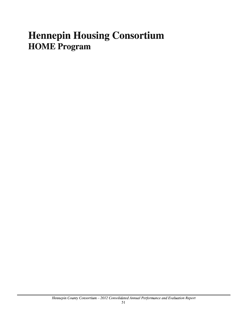 Fillable Online co hennepin mn PRIORITY SUMMARY Hennepin County co