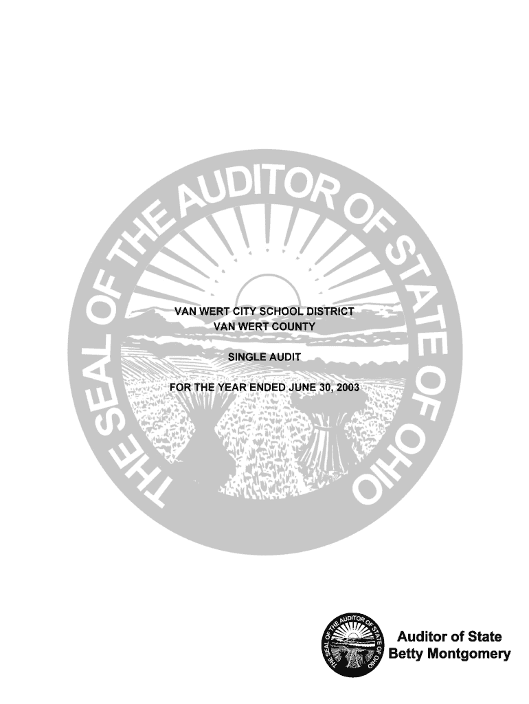 Van Wert CSD 03Van Wert doc auditor state oh Fill out & sign online
