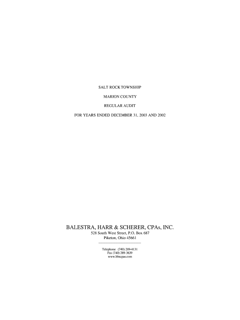 SALT ROCK TOWNSHIP auditor state oh Fill out & sign online DocHub