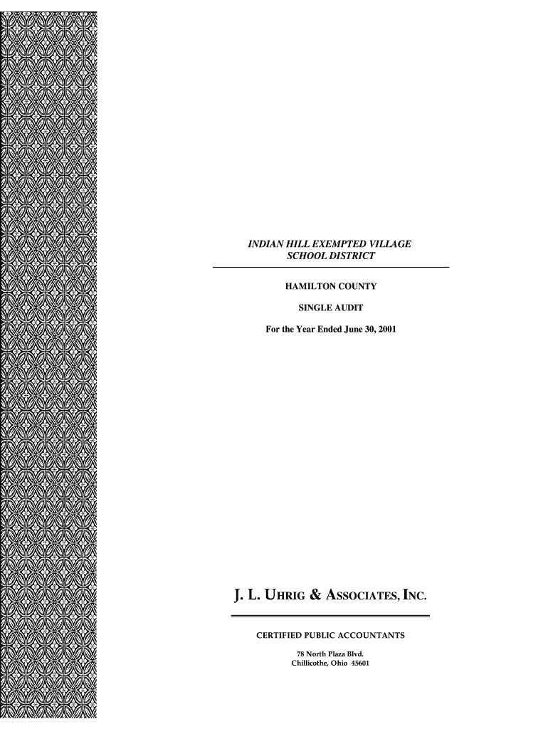 Fillable Online auditor state oh Comprehensive Annual Ohio Auditor of