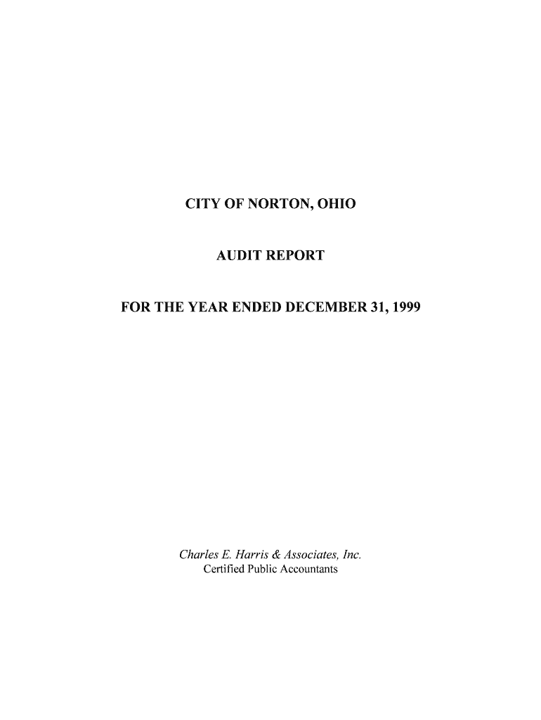CITY OF NORTON, OHIO auditor state oh Fill out & sign online DocHub