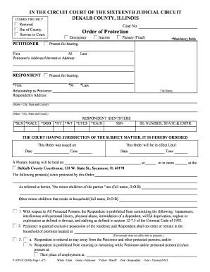 Blank Court Order Form - Fill and Sign Printable Template Online