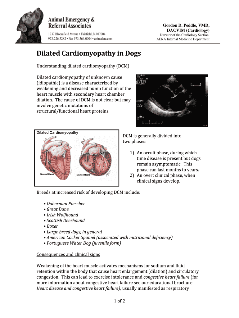 Fillable Online DACVIM (Cardiology) Fax Email Print pdfFiller