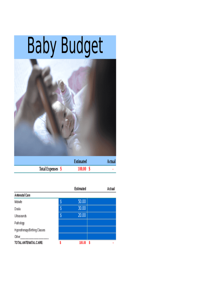Baby Budget Template Fill and Sign Printable Template Online US