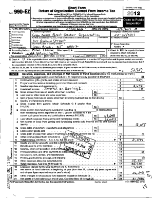 Fillable Online 2020 Form 990-EZ - IRS tax forms Fax Email Print