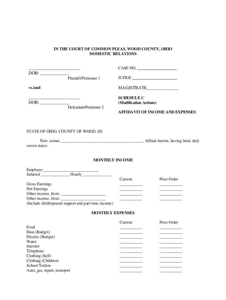 Fillable Online clerkofcourt co wood oh Schedule C Affidavit of