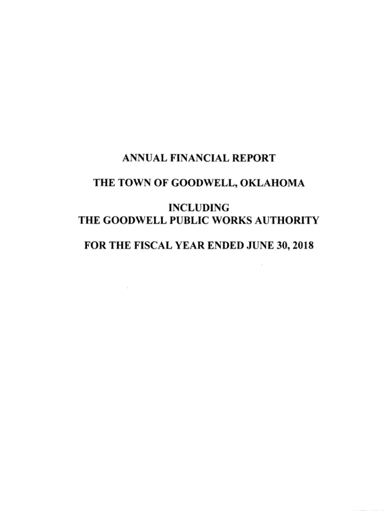 Fillable Online Get the free annual financial report the town of goodwell Fax Email Print