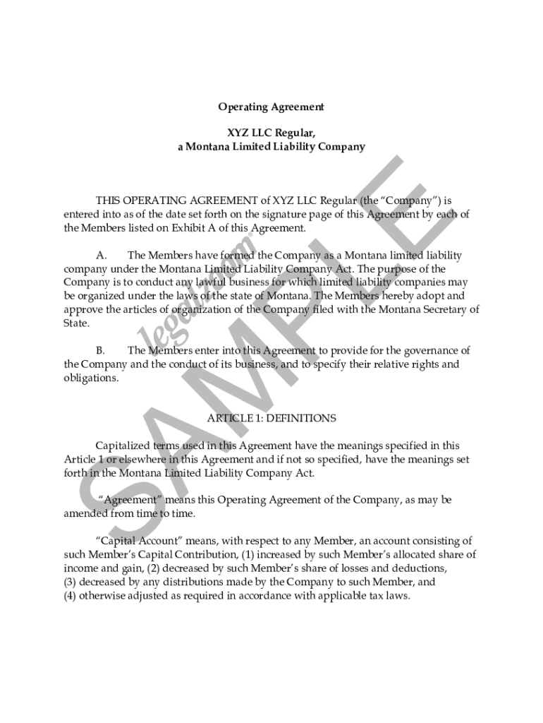 Fillable Online OPERATING