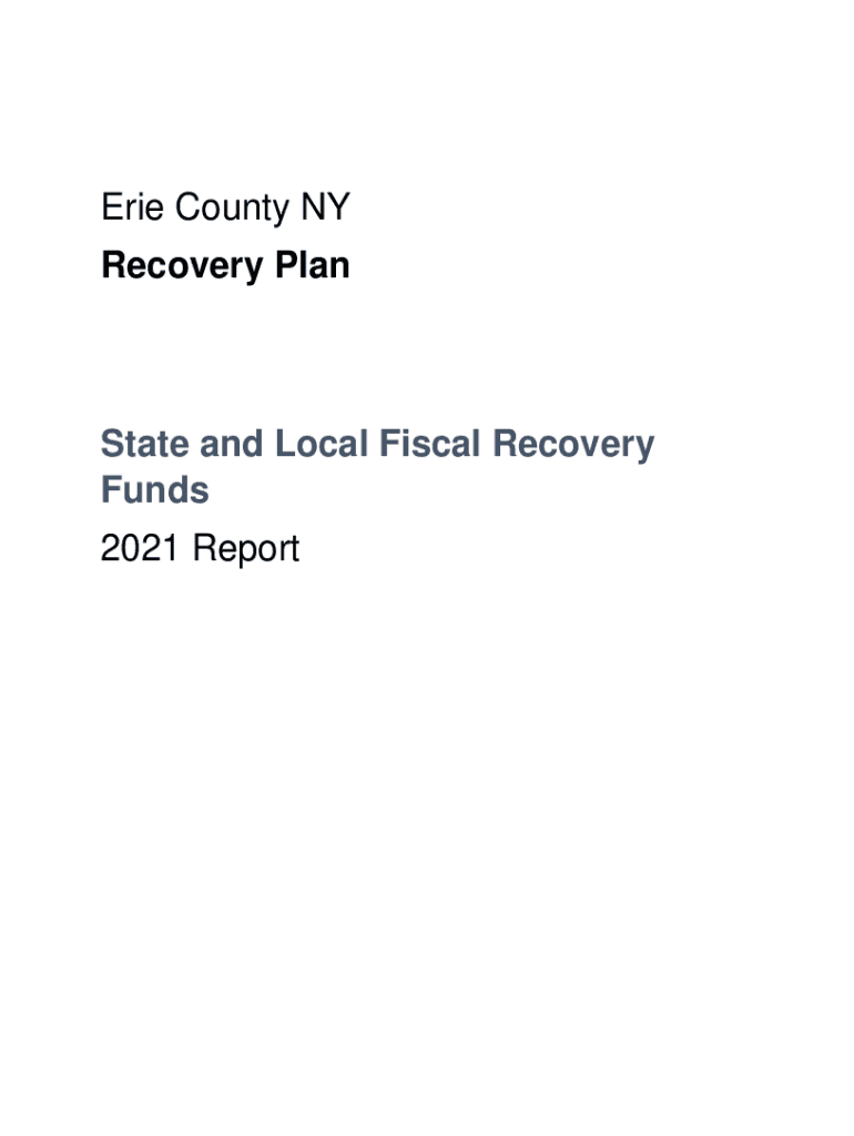 Fillable Online Erie County NY Recovery Plan State and Local Fiscal