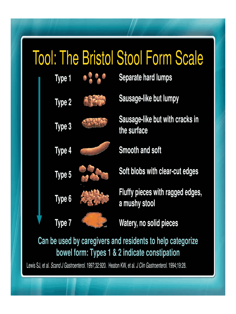 Fillable Online Tool: The Bristol Stool Form Scale Type 1 Fax Email