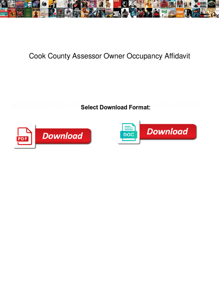 Fillable Online Cook County Assessor Owner Occupancy Affidavit. Cook