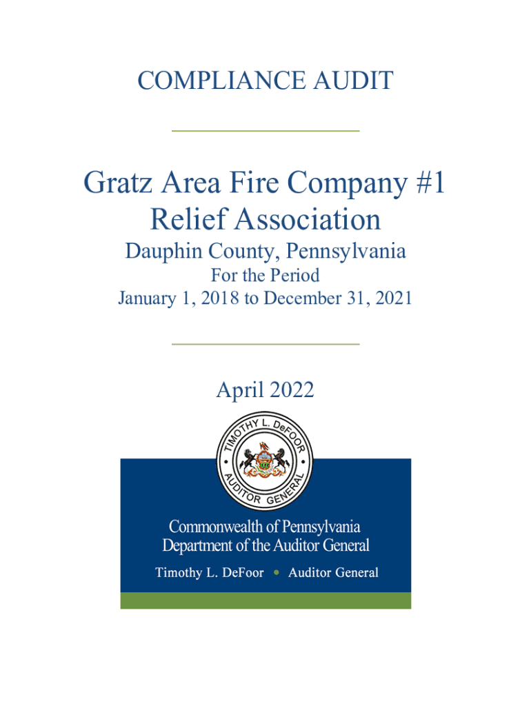 Fillable Online AUDIT Gratz