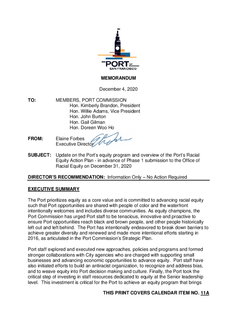 Fillable Online RACIAL EQUITY ACTION PLAN TEMPLATE PHASE 1 Fax Email