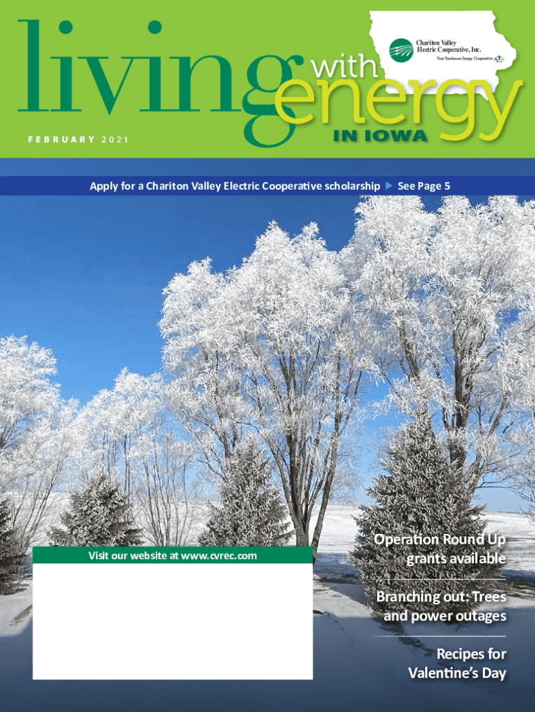 Fillable Online Chariton Valley Electric CooperativeCost of Service