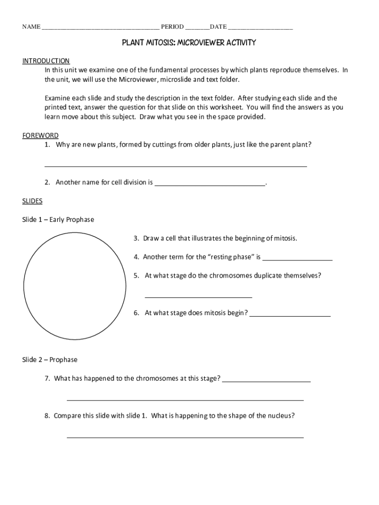 Fillable Online Plant growth lab mitosis answer key Studio De Maria