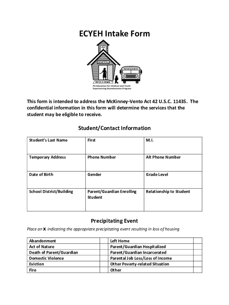 Fillable Online ECYEH Intake Form Palmerton Area School District Fax
