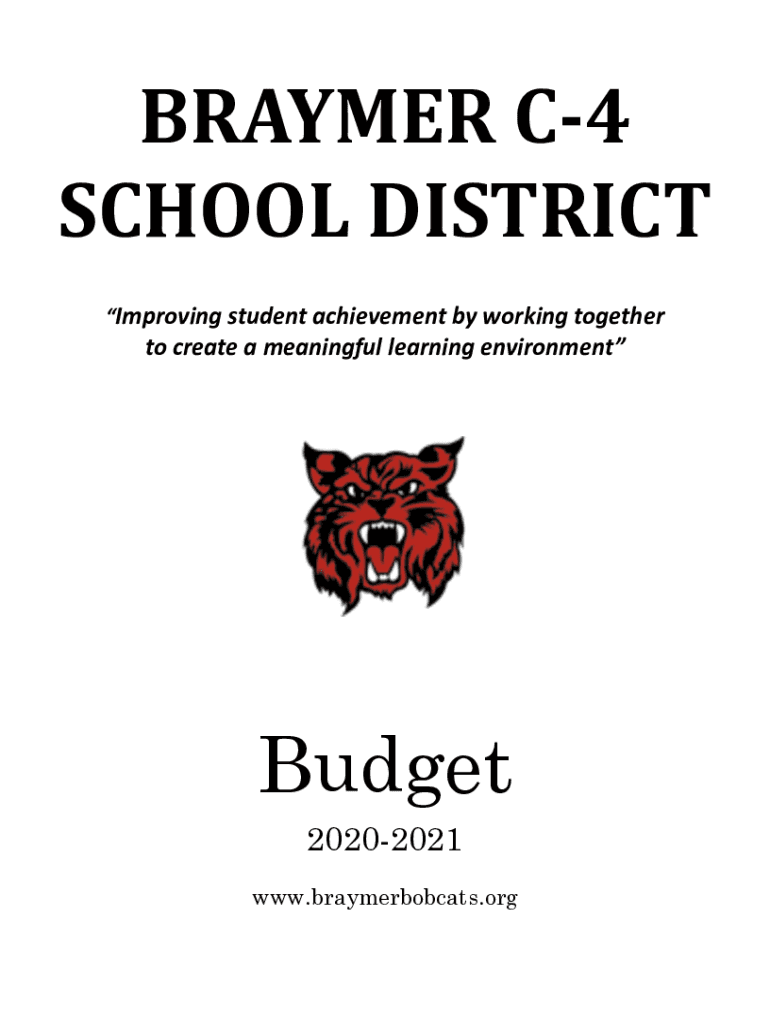 Fillable Online BRAYMER C4 SCHOOL DISTRICT BOARD OF Fax Email