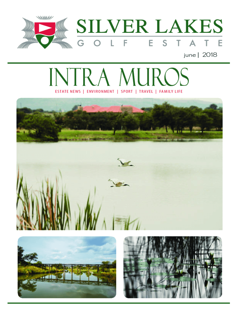 Fillable Online cdn nowmedia co Silver Lakes HOA Fax Email Print