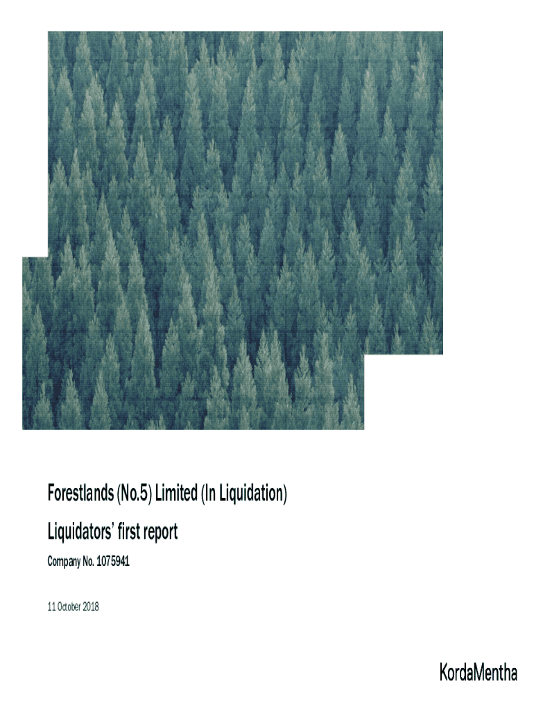 Fillable Online Amended Order for Liquidation, Declaration of