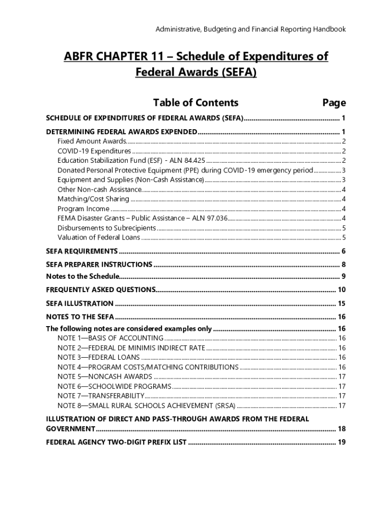 Fillable Online Schedule of Expenditures of Federal Awards Template