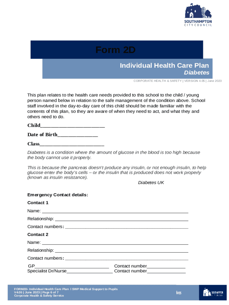 2D Individual Health Care Plan Diabetes Doc Template pdfFiller