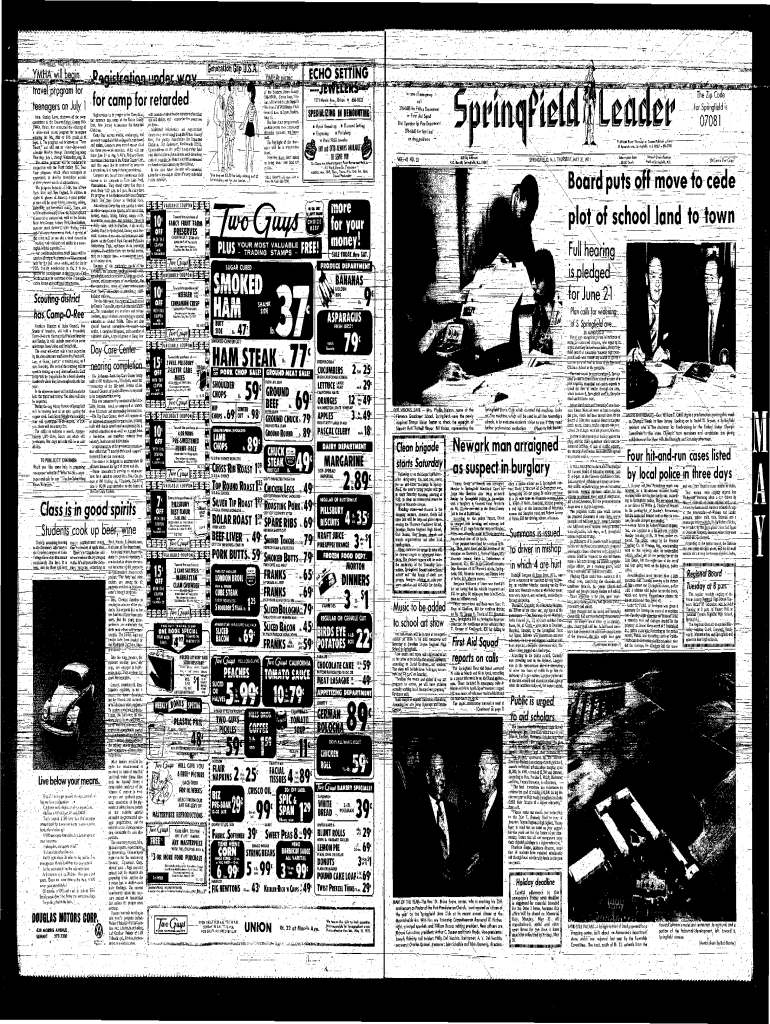 Fillable Online Why do geese fly in a V? Fax Email Print pdfFiller