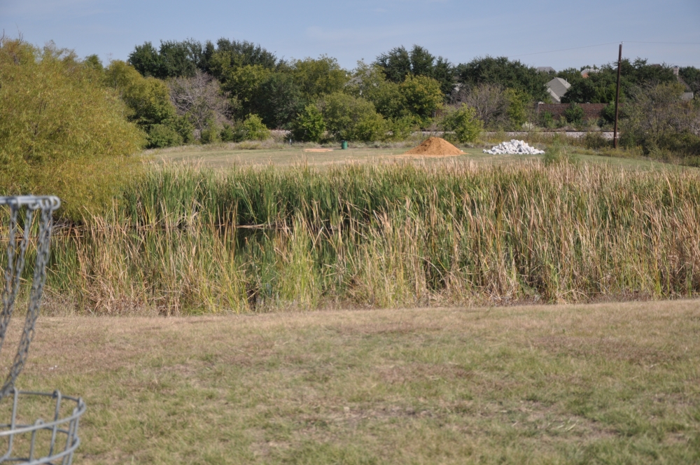 Bill Allen Memorial Park Professional Disc Golf Association