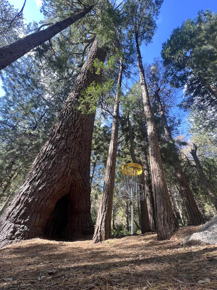 Thousand Pines Lower Course Professional Disc Golf Association