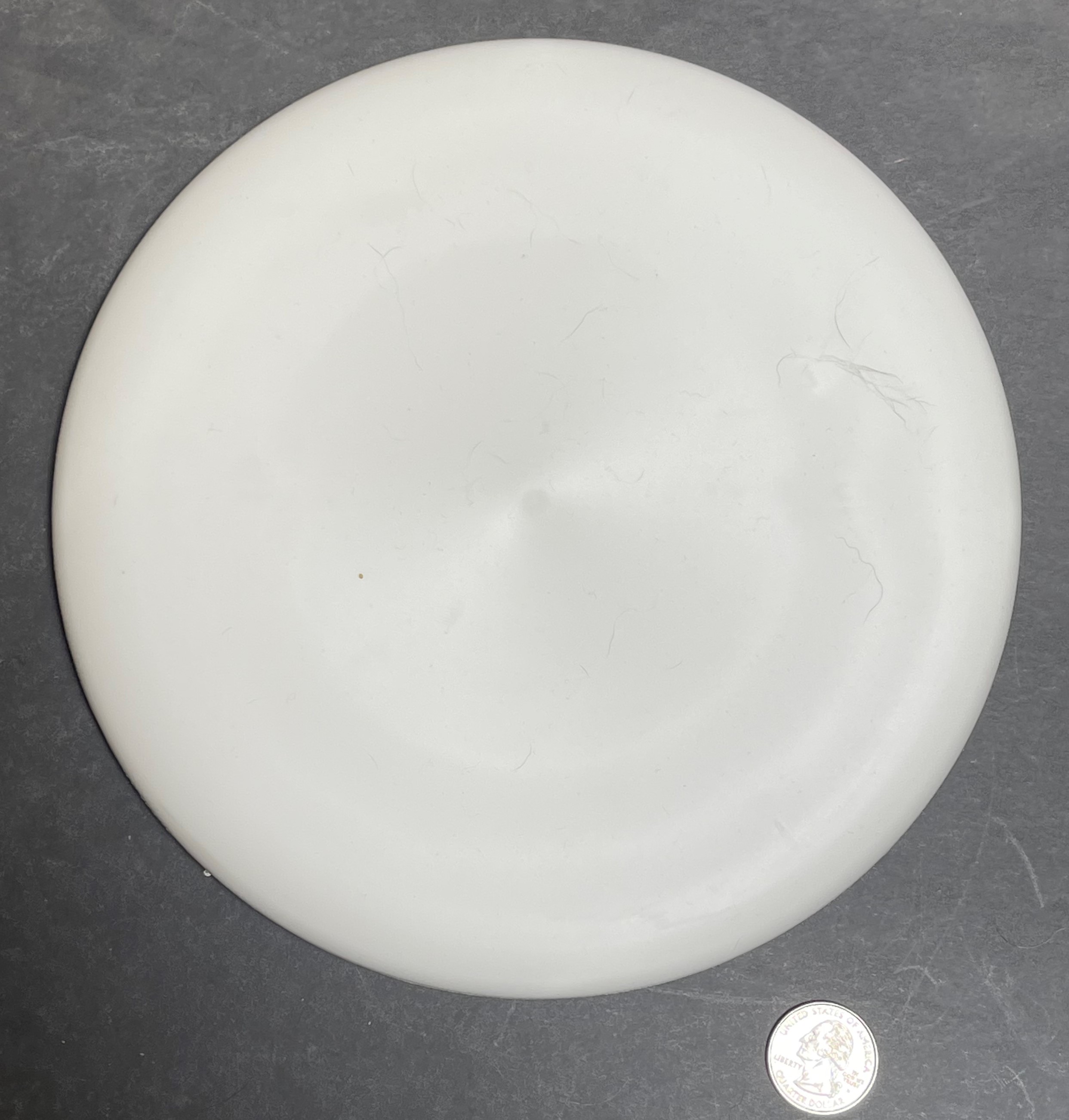 Bagger from Pie Pan Discs Professional Disc Golf Association