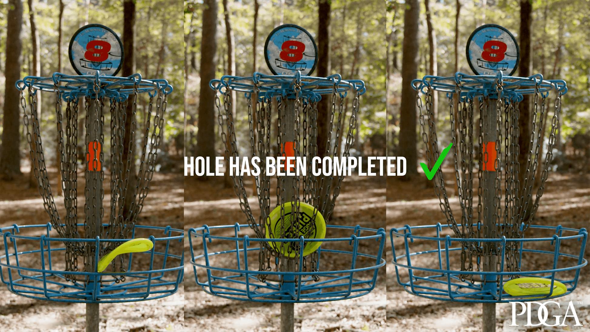 Disc Golf Rules School Episode 9 Completing The Hole Professional