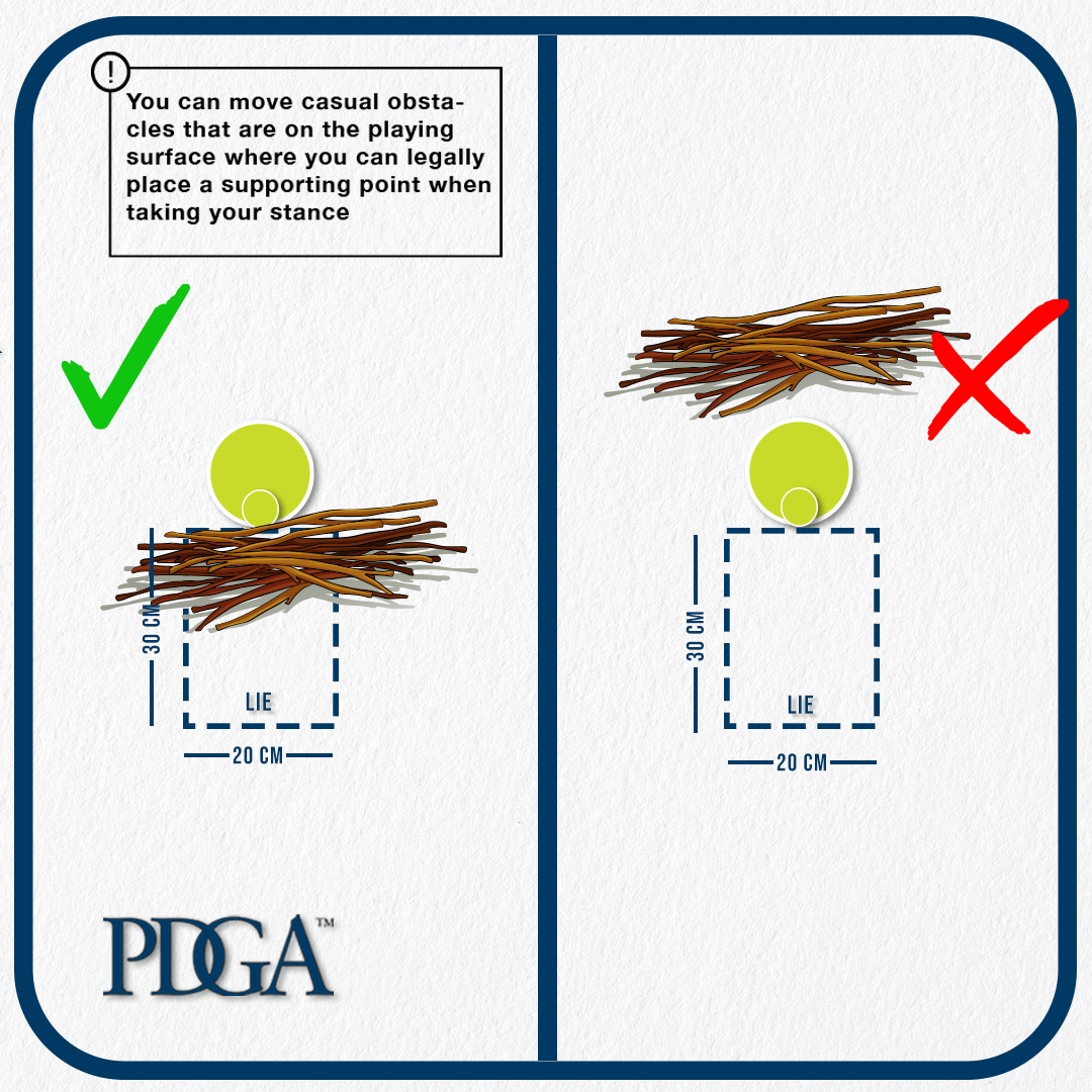 Disc Golf Rules School Episode 8 Obstacles and Relief Professional