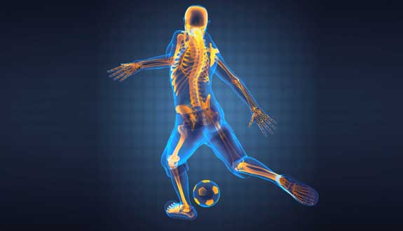 The Body in Motion HSC PDHPE