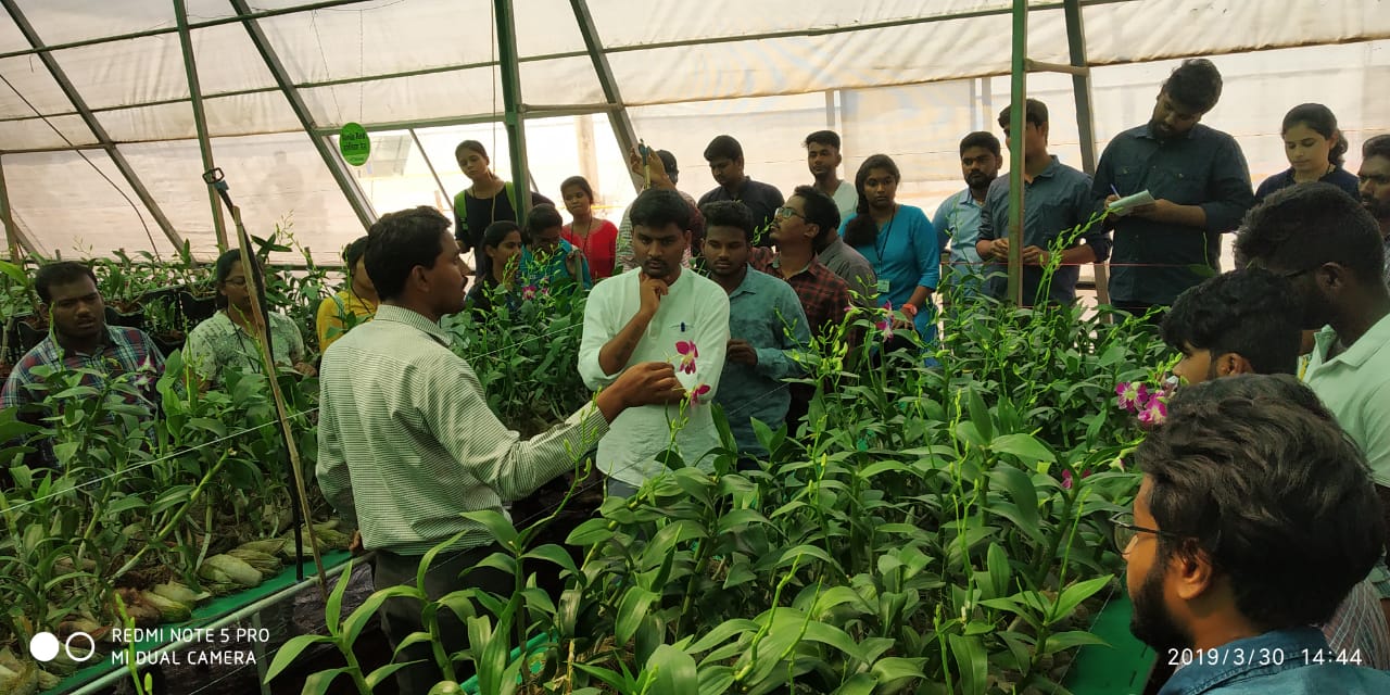 Faculty of Agriculture PDM University, Bahadurgarh