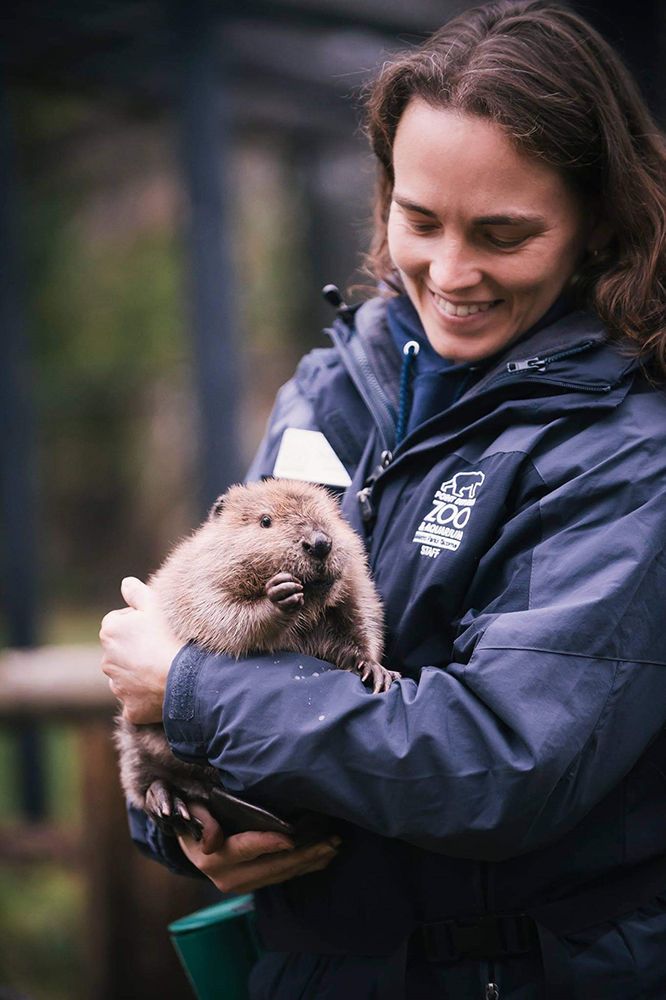 National Zookeeper Week Point Defiance Zoo & Aquarium