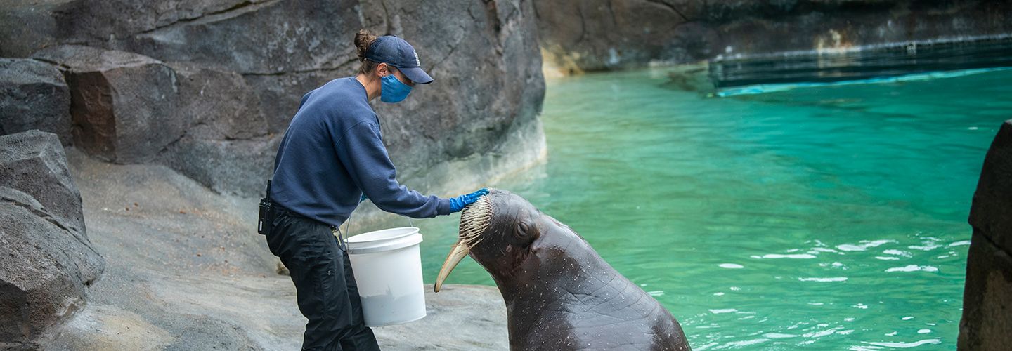 National Zookeeper Week Point Defiance Zoo & Aquarium
