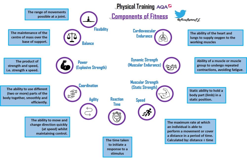MissRetterPE AQA GCSE PE Components of fitness Connectives and