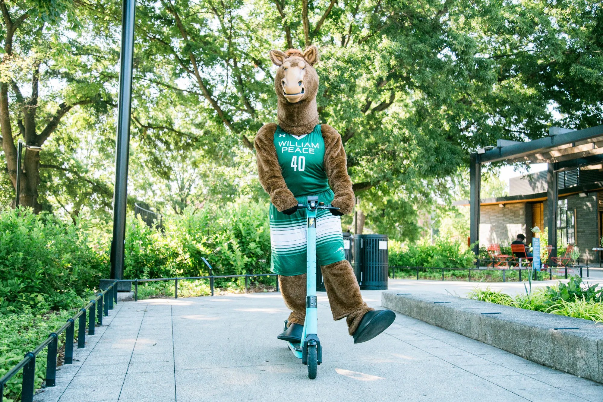 William Peace University to host World War II Reading William Peace