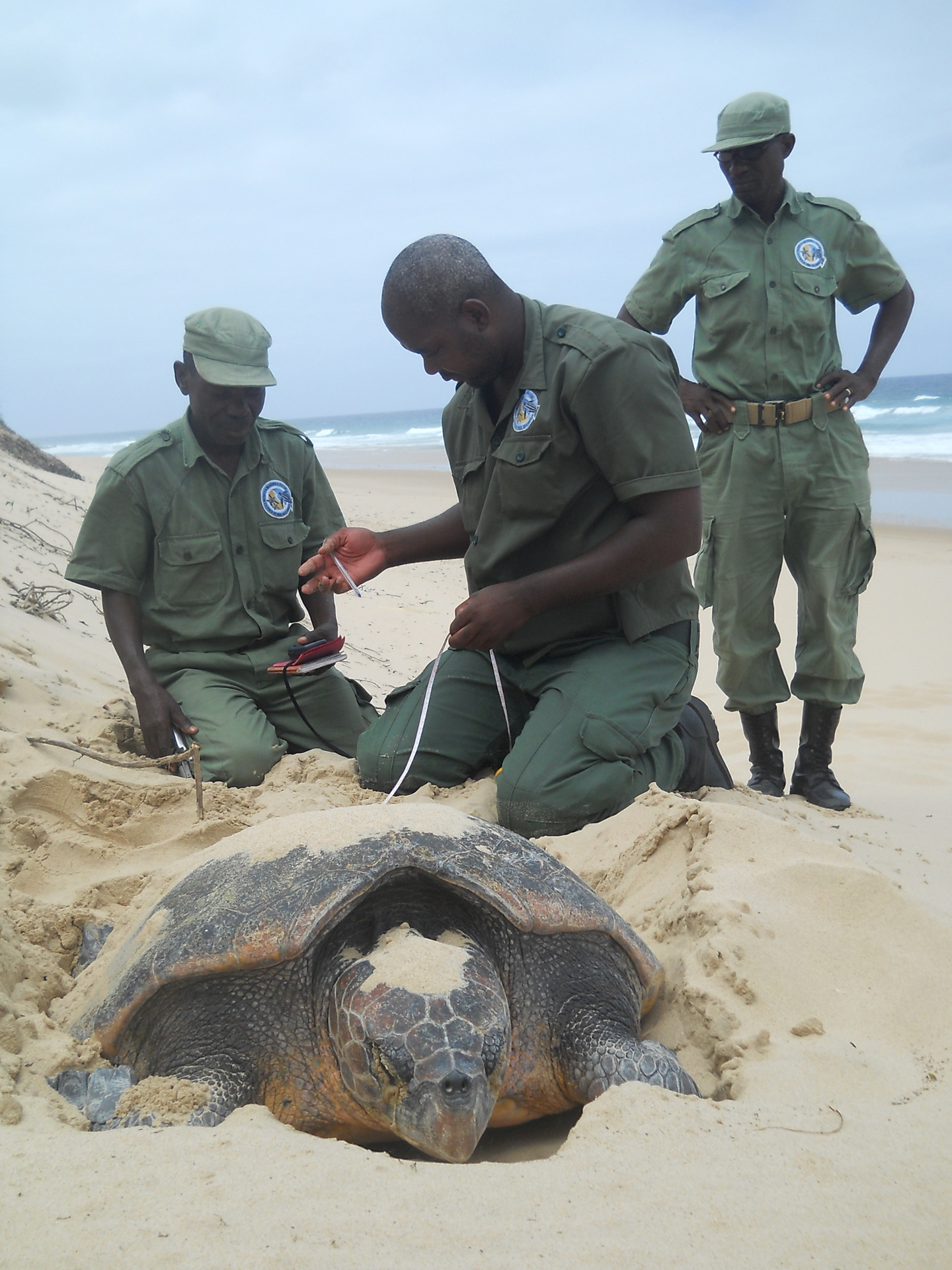 A flourishing haven for marine life Peace Parks Foundation