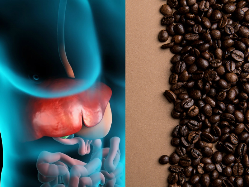 Drinking Coffee Reduces the Risk of Liver Disease and Cancer