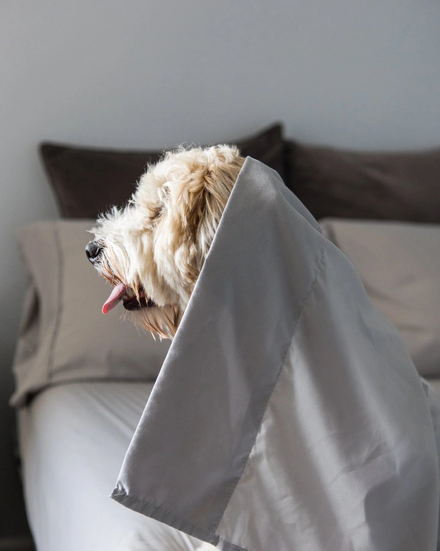 Best Fabric for Night Sweats The Original PeachSkinSheets® The