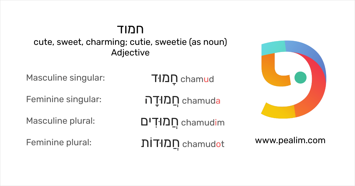 חמוד cute, sweet, charming; cutie, sweetie (as noun) Hebrew