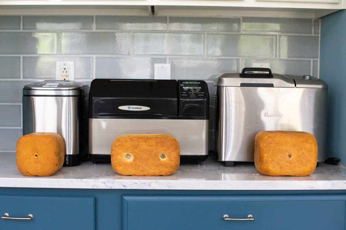 The Best Bread Machine for Beginners Peanut Blossom
