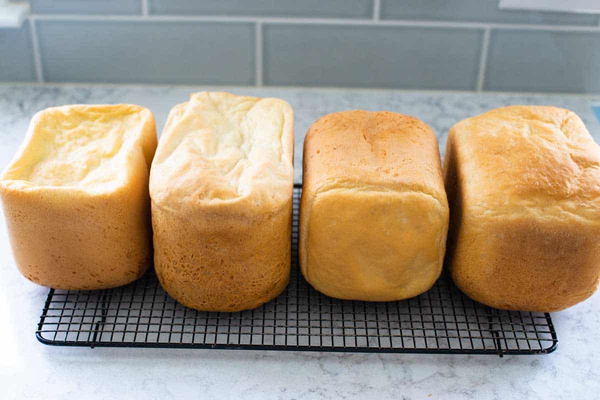 The Best Bread Machine for Beginners Peanut Blossom