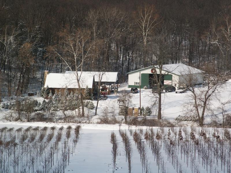 Pea Ridge Christmas Tree Farm Christmas at Pea Ridge