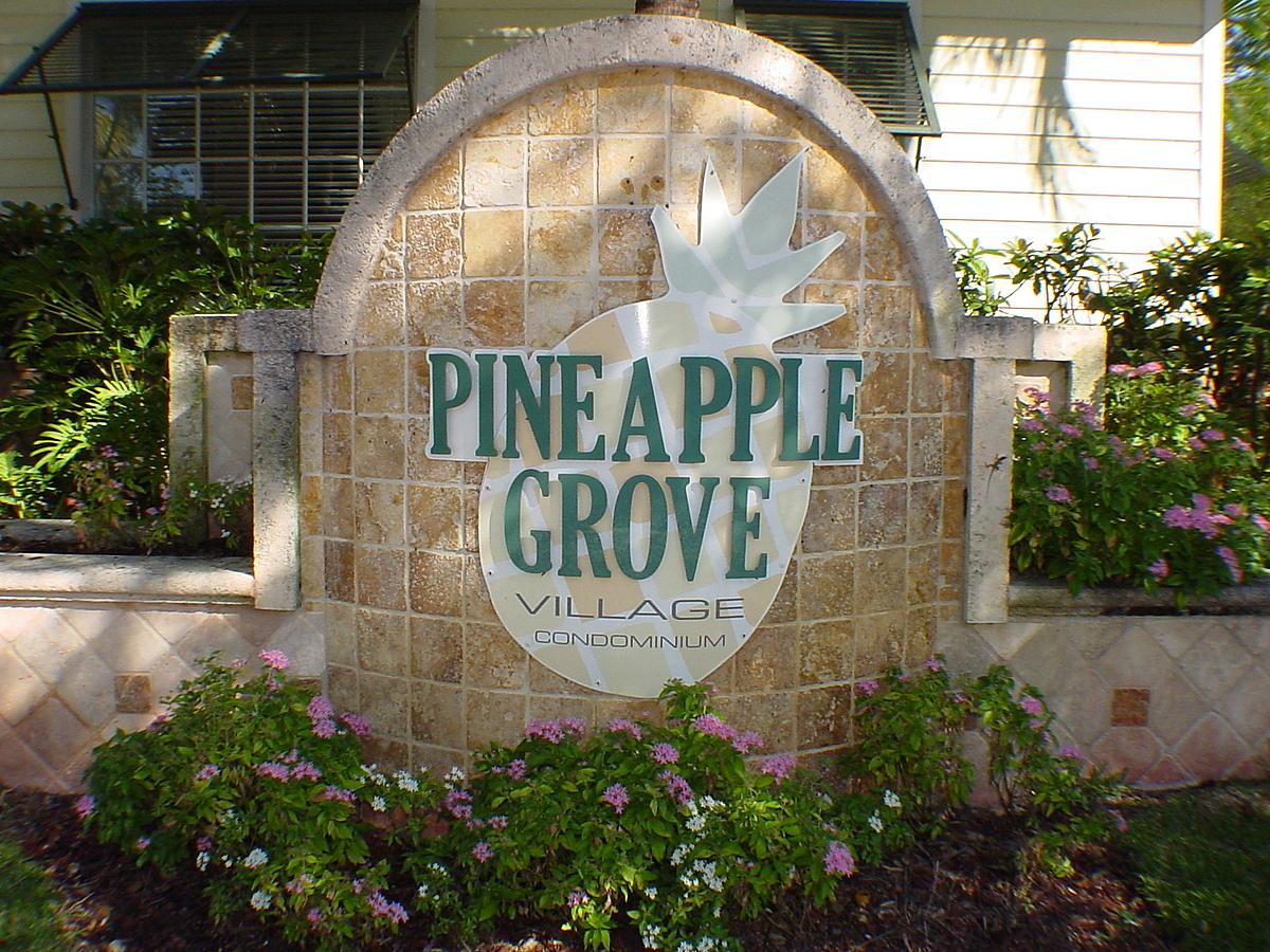Pineapple Grove Village Condos Downtown Delray Real Estate