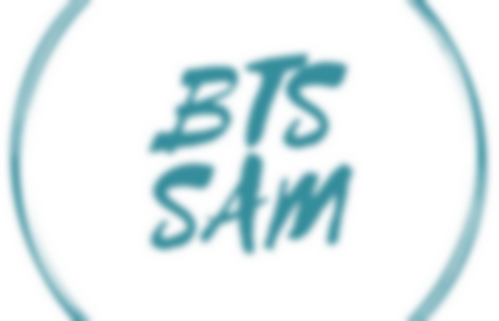 Après le BTS SAM Pearltrees