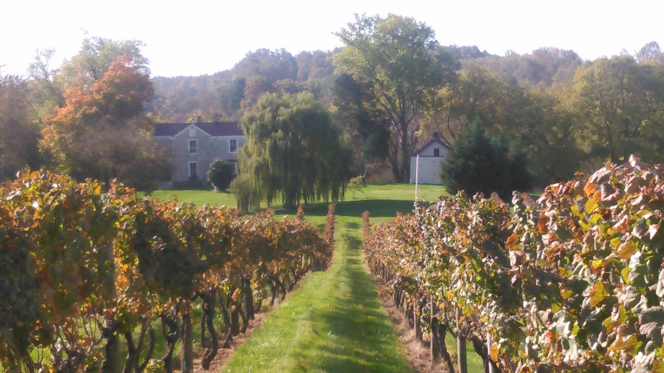 Photo Gallery Pearmund Cellars