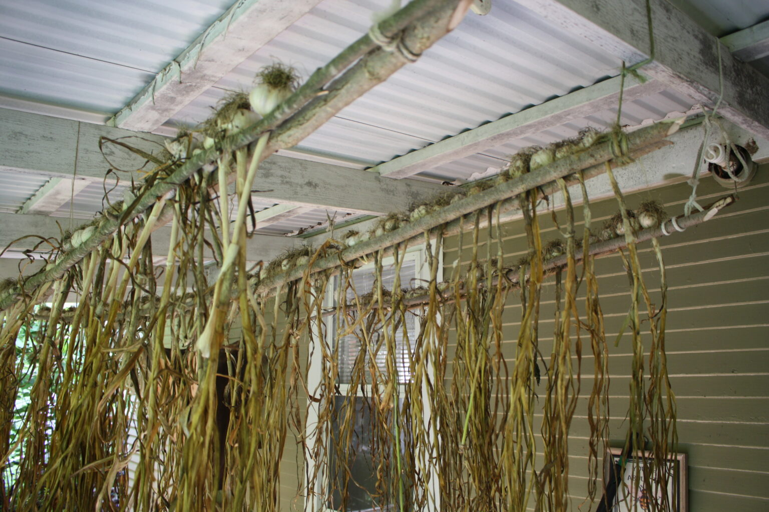 How to build an Easy Garlic Drying Rack Peasant Ways for Modern Days